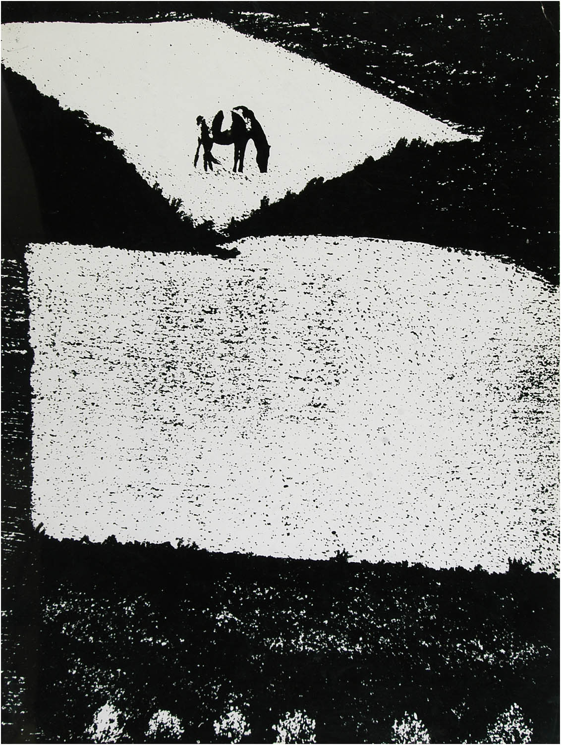 Slavoljub Stanojevic - Ispasa Pegaza